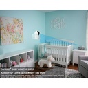 Acrylic Floating Wall Shelve